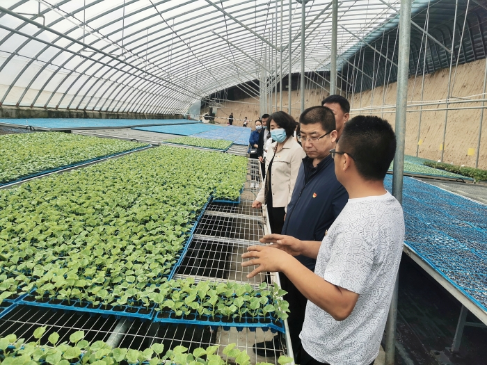 a547b31e24835b037c3cd7b57e0ccba a547b31e24835b037c3cd7b57e0ccba